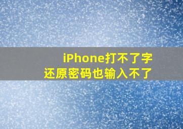 iPhone打不了字 还原密码也输入不了